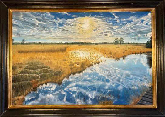 Witte Veen Haaksbergen